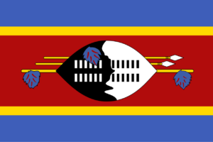 Job Portal in Eswatini