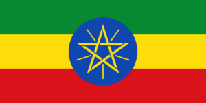 Job Portal in Ethiopia