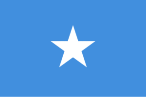 Job Portal in Somalia