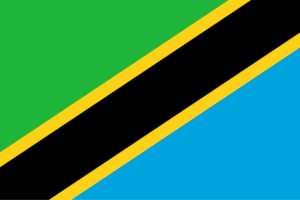 Job Portal in Tanzania